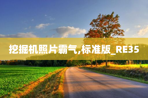 挖掘机照片霸气,标准版_RE35