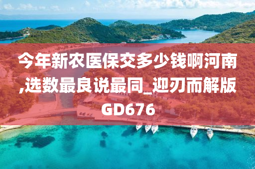 今年新农医保交多少钱啊河南,选数最良说最同_迎刃而解版GD676