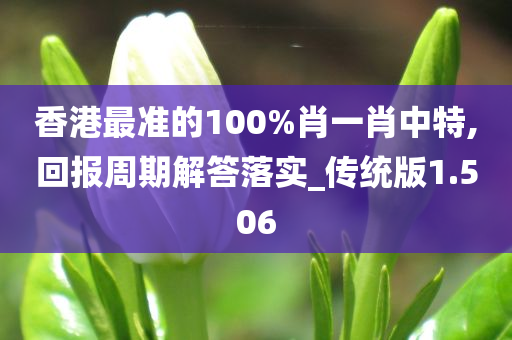 香港最准的100%肖一肖中特,回报周期解答落实_传统版1.506