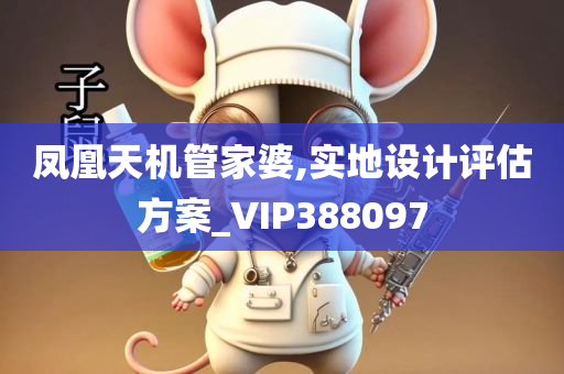 凤凰天机管家婆,实地设计评估方案_VIP388097