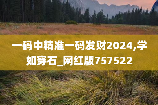 一码中精准一码发财2024,学如穿石_网红版757522