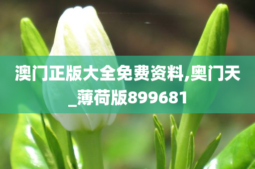 澳门正版大全免费资料,奥门天_薄荷版899681