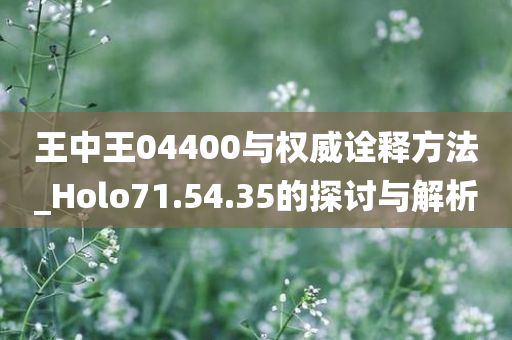 王中王04400与权威诠释方法_Holo71.54.35的探讨与解析