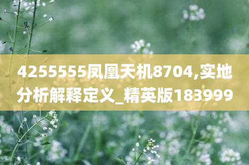 4255555凤凰天机8704,实地分析解释定义_精英版183999