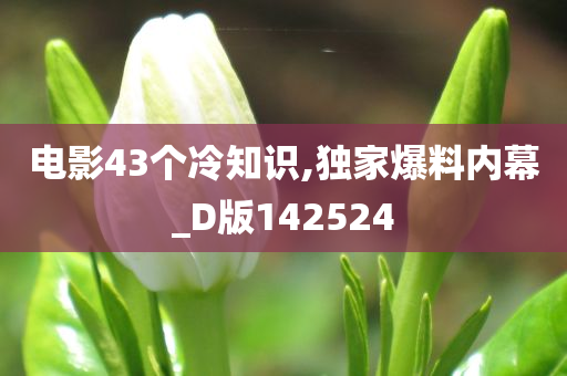 电影43个冷知识,独家爆料内幕_D版142524