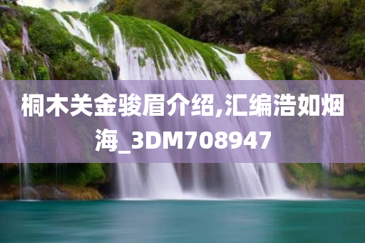 桐木关金骏眉介绍,汇编浩如烟海_3DM708947