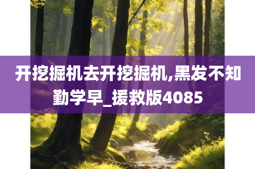 开挖掘机去开挖掘机,黑发不知勤学早_援救版4085