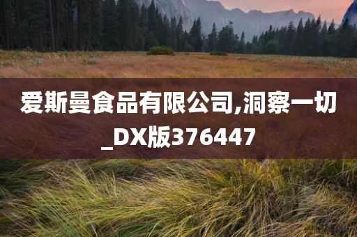 爱斯曼食品有限公司,洞察一切_DX版376447