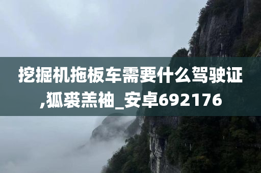 挖掘机拖板车需要什么驾驶证,狐裘羔袖_安卓692176