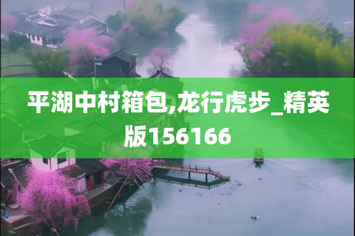 平湖中村箱包,龙行虎步_精英版156166