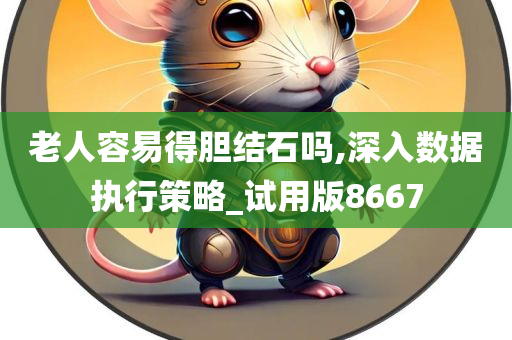 老人容易得胆结石吗,深入数据执行策略_试用版8667