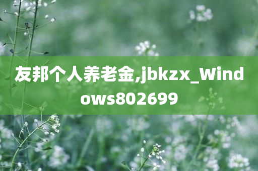 友邦个人养老金,jbkzx_Windows802699