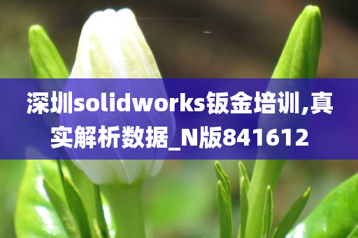 深圳solidworks钣金培训,真实解析数据_N版841612