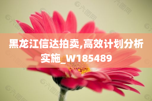 黑龙江信达拍卖,高效计划分析实施_W185489