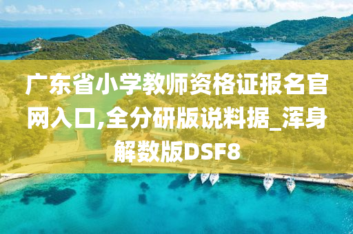 广东省小学教师资格证报名官网入口,全分研版说料据_浑身解数版DSF8