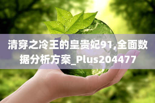 清穿之冷王的皇贵妃91,全面数据分析方案_Plus204477