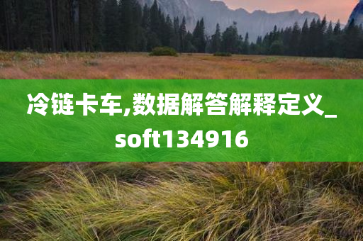 冷链卡车,数据解答解释定义_soft134916