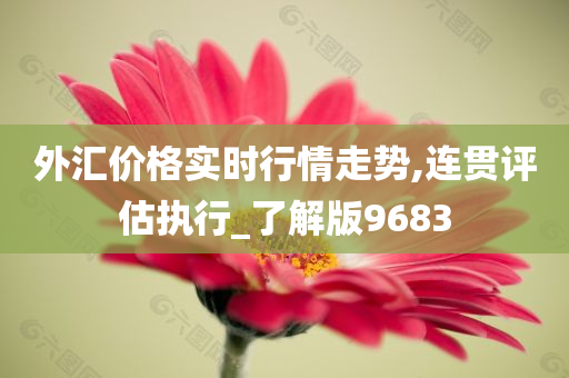 外汇价格实时行情走势,连贯评估执行_了解版9683