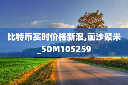 比特币实时价格新浪,画沙聚米_5DM105259