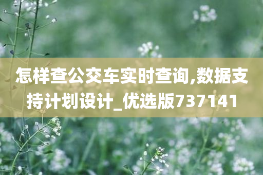 怎样查公交车实时查询,数据支持计划设计_优选版737141