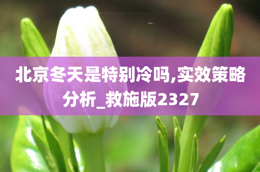 北京冬天是特别冷吗,实效策略分析_救施版2327