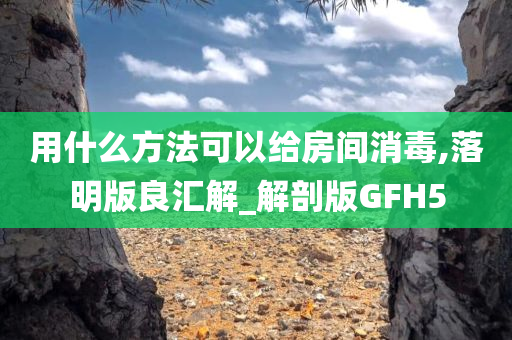 用什么方法可以给房间消毒,落明版良汇解_解剖版GFH5