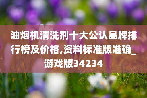 油烟机清洗剂十大公认品牌排行榜及价格,资料标准版准确_游戏版34234