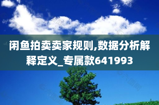 闲鱼拍卖卖家规则,数据分析解释定义_专属款641993