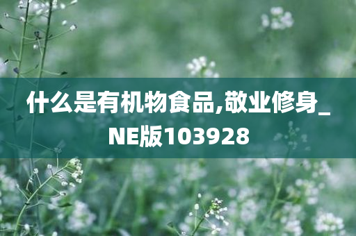 什么是有机物食品,敬业修身_NE版103928