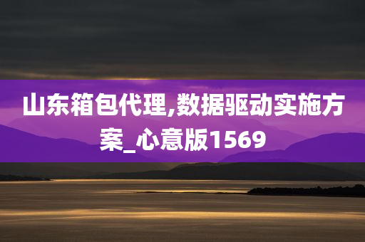 山东箱包代理,数据驱动实施方案_心意版1569