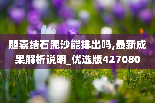 胆囊结石泥沙能排出吗,最新成果解析说明_优选版427080