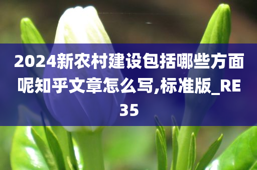 2024新农村建设包括哪些方面呢知乎文章怎么写,标准版_RE35