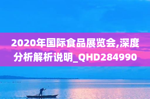 2020年国际食品展览会,深度分析解析说明_QHD284990