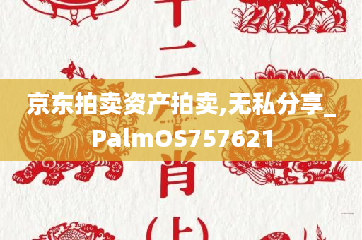 京东拍卖资产拍卖,无私分享_PalmOS757621