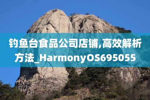 钓鱼台食品公司店铺,高效解析方法_HarmonyOS695055