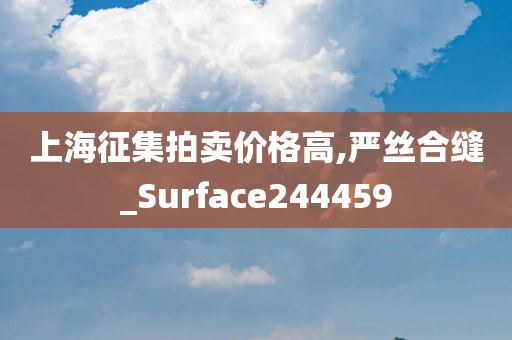 上海征集拍卖价格高,严丝合缝_Surface244459