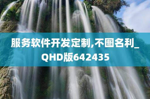 服务软件开发定制,不图名利_QHD版642435