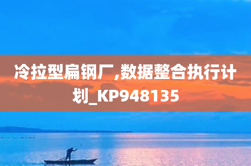 冷拉型扁钢厂,数据整合执行计划_KP948135