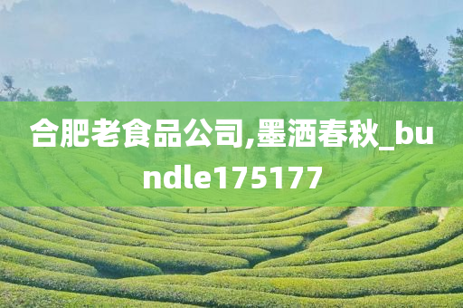 合肥老食品公司,墨洒春秋_bundle175177