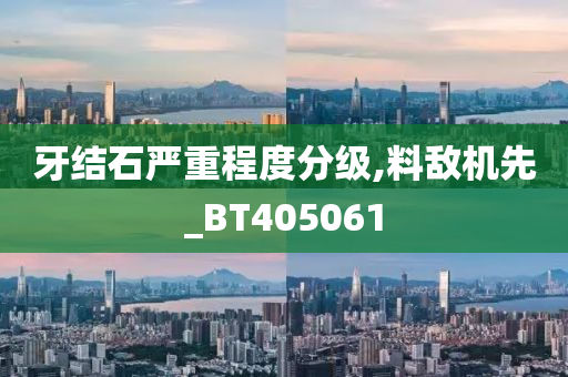 牙结石严重程度分级,料敌机先_BT405061