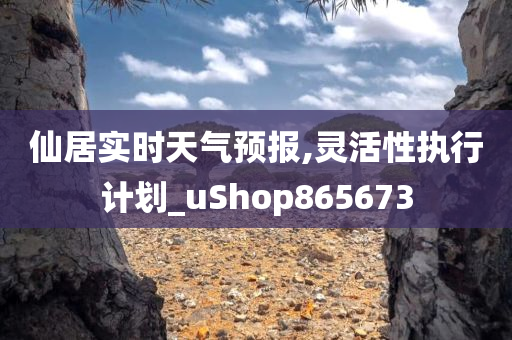 仙居实时天气预报,灵活性执行计划_uShop865673