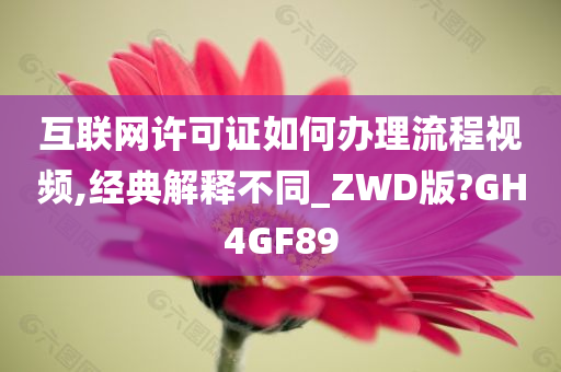 互联网许可证如何办理流程视频,经典解释不同_ZWD版?GH4GF89