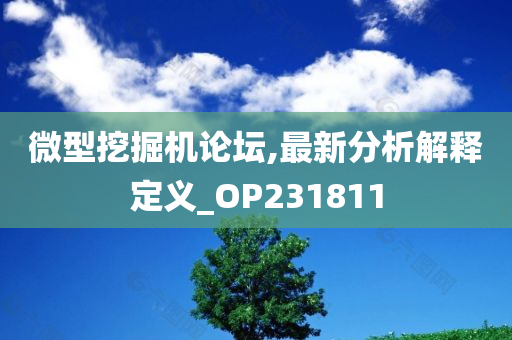 微型挖掘机论坛,最新分析解释定义_OP231811