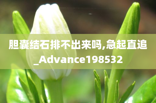 胆囊结石排不出来吗,急起直追_Advance198532