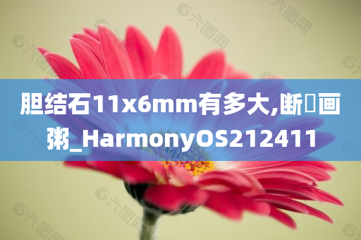 胆结石11x6mm有多大,断虀画粥_HarmonyOS212411