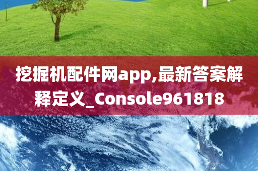 挖掘机配件网app,最新答案解释定义_Console961818