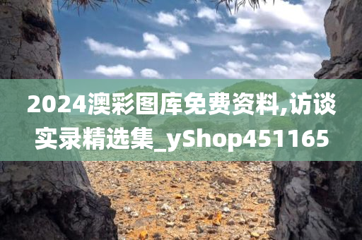 2024澳彩图库免费资料,访谈实录精选集_yShop451165