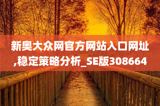 新奥大众网官方网站入口网址,稳定策略分析_SE版308664