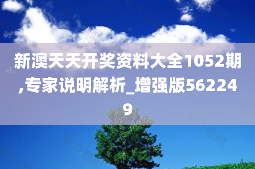 新澳天天开奖资料大全1052期,专家说明解析_增强版562249