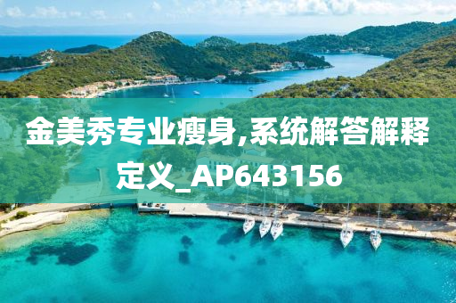 金美秀专业瘦身,系统解答解释定义_AP643156